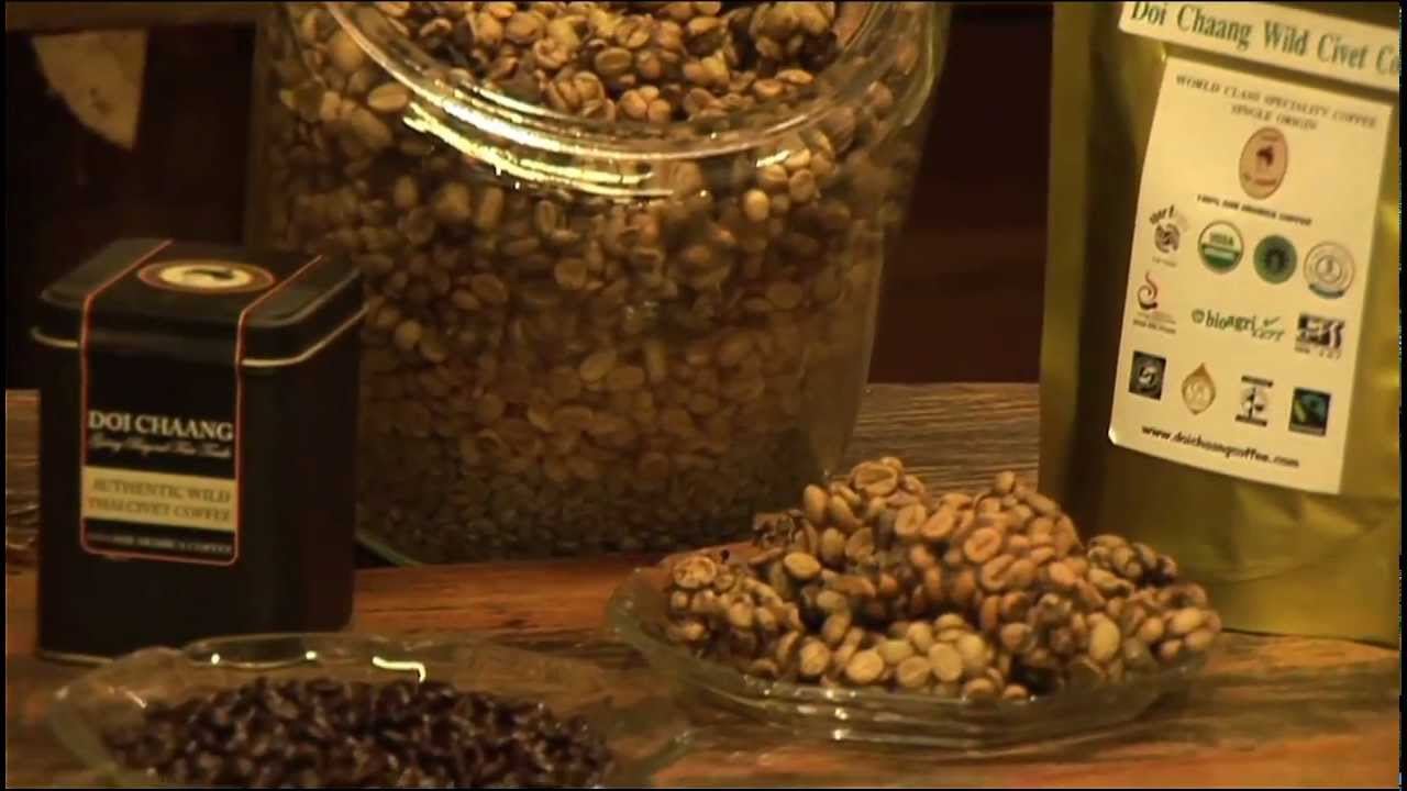 Doi Chaang Coffee - Born to be Wild