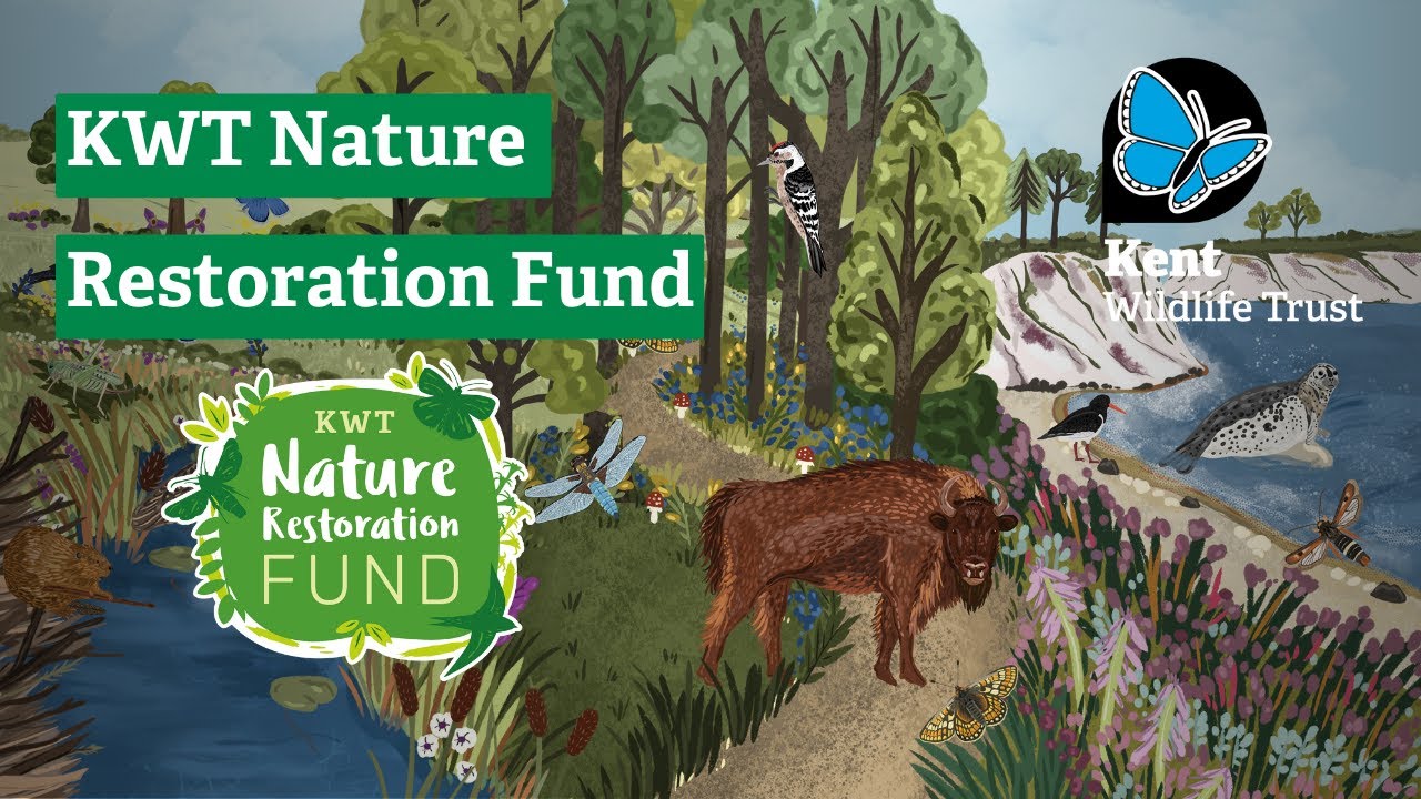 KWT Nature Restoration Fund