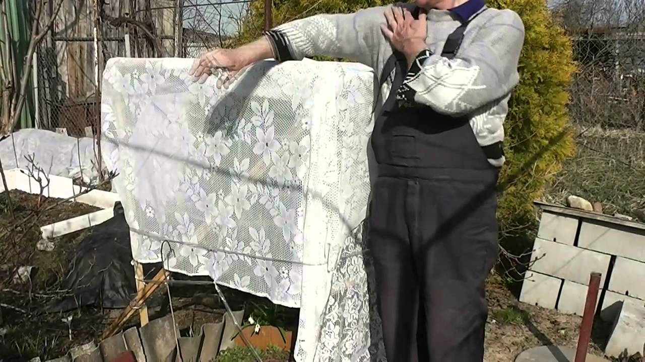 Снятие притенения с рододендронов весной 2014г