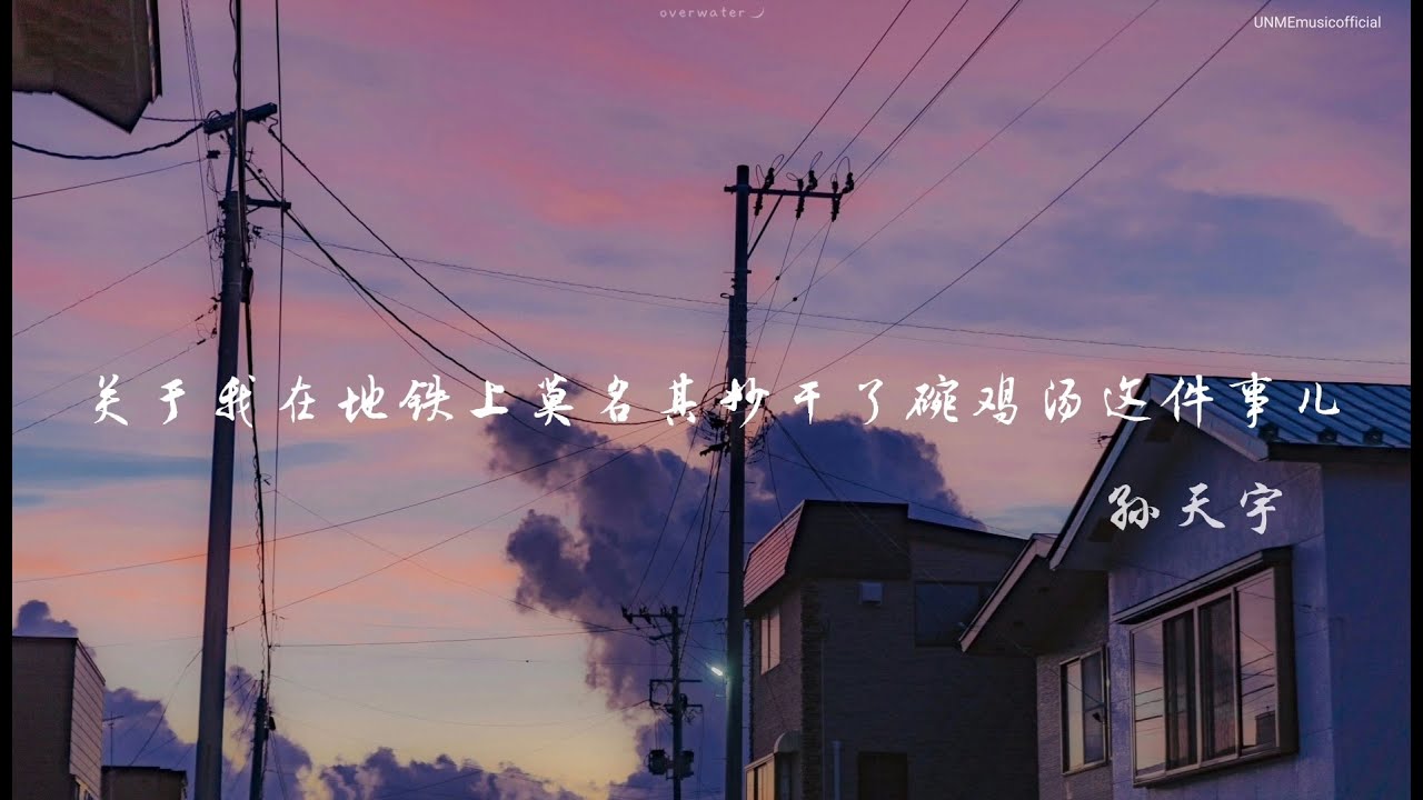 孙天宇 - 关于我在地铁上莫名其妙干了碗鸡汤这件事儿［放肆心神 放纵去爱 去沉沦，此时此刻 做最自由灵魂］动态歌词lyrics