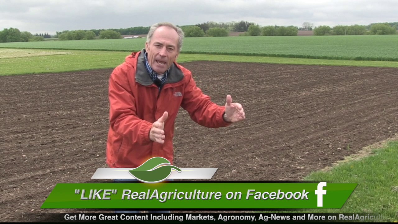 Corn School: Spring Nitrogen