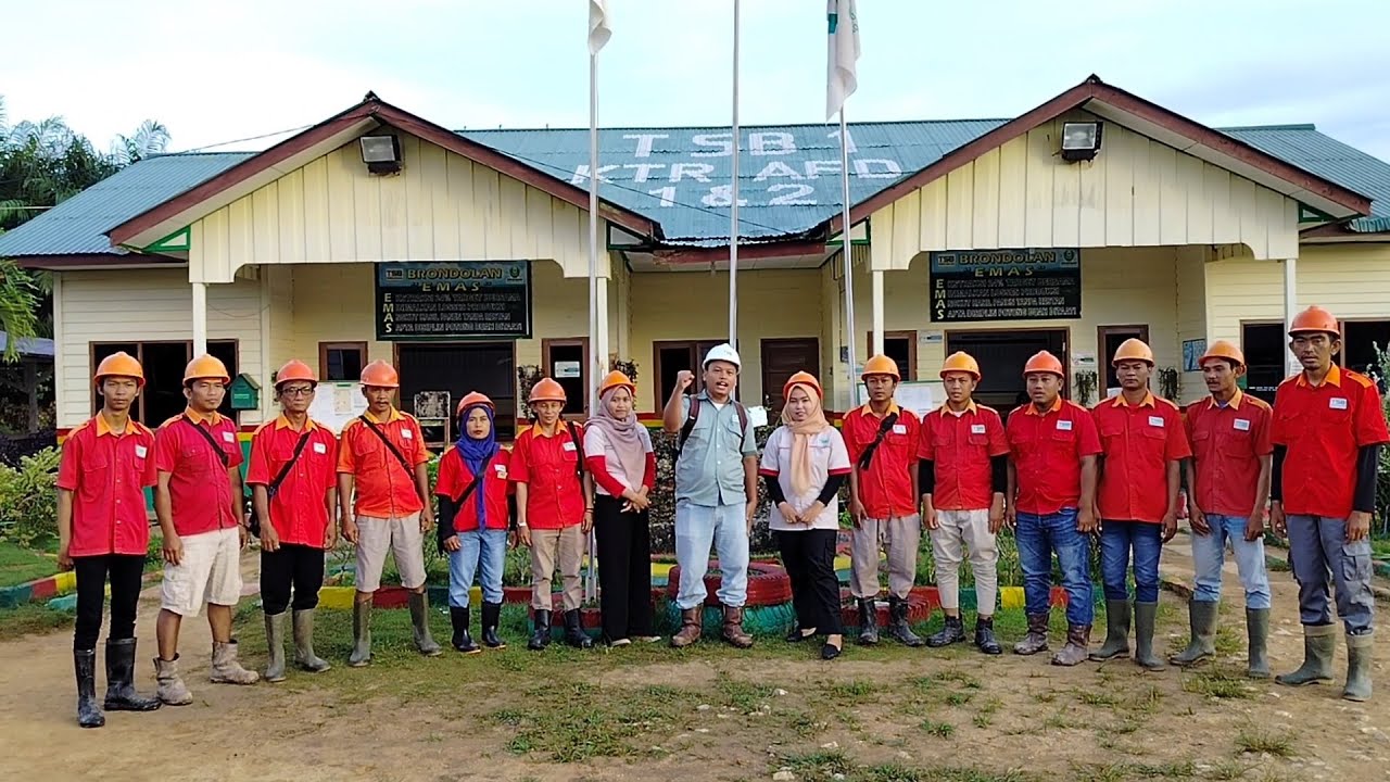 RUTINITAS KERJA KARYAWAN PERKEBUNAN SAWIT PT.TSB (KEBUN TSB 1 AFD 2)