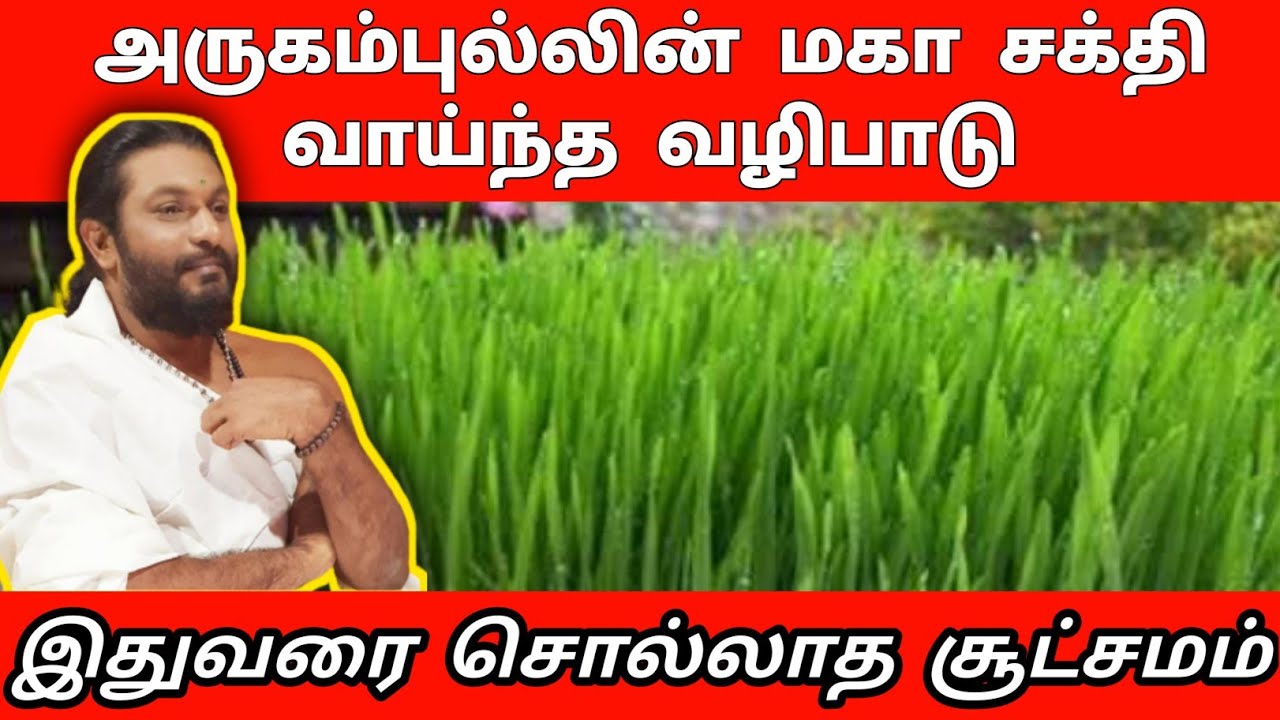 அருகம்புல்லின் தெய்வீக சக்தி | arugampul valipadu poojai tips | bairavar peedam | vijay swamy ji
