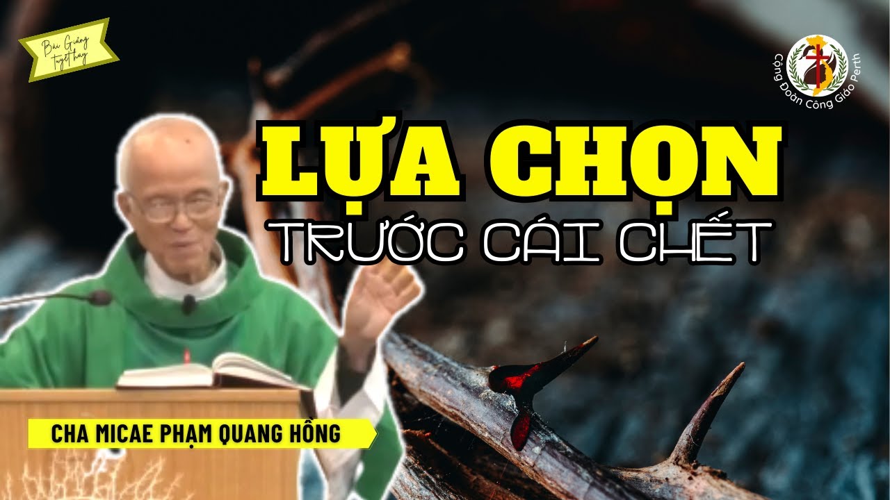 Những tử vì đạo ngày nay ! Lựa chọn trước cái chết ⛪ Bài giảng Cha Hồng Mới Nhất 2023