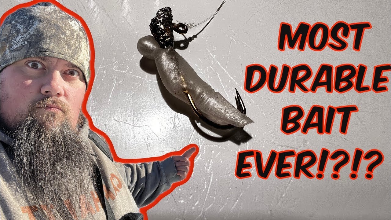 На эту приманку поймали БОЛЕЕ 100 рыб!! (Приманки для ловли мулов)