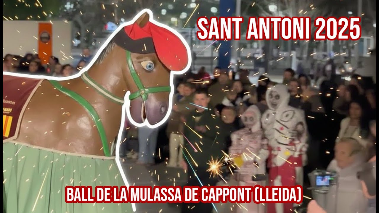 Ball de la Mulassa de Cappont (Lleida) / Sant Antoni 2025 i la XVII Trobada de Bestiari Domèstic 🐖
