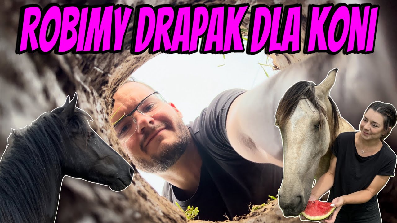 Konie wreszcie u nas!| Robimy drapak | Małe zakupy |