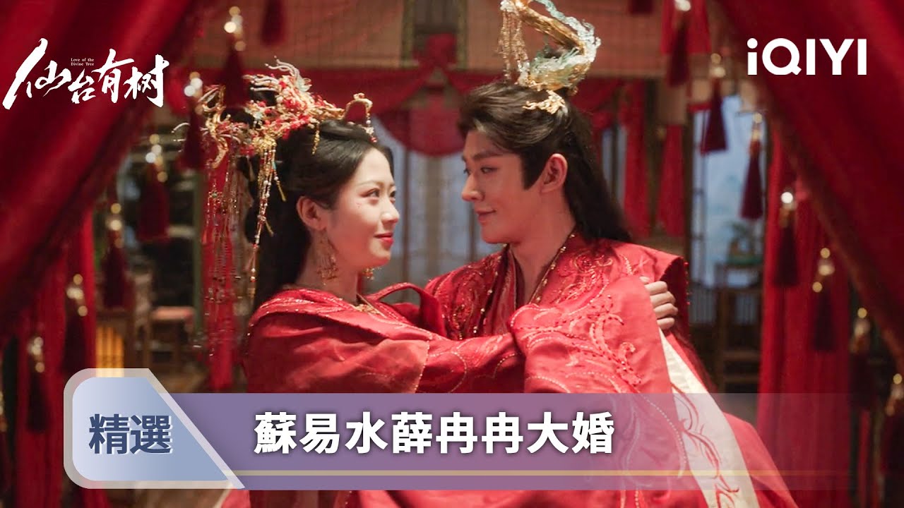 《仙台有樹》EP39-40精選：有樹的地方就是家~蘇易水薛冉冉婚後喜抱三娃 | 愛奇藝