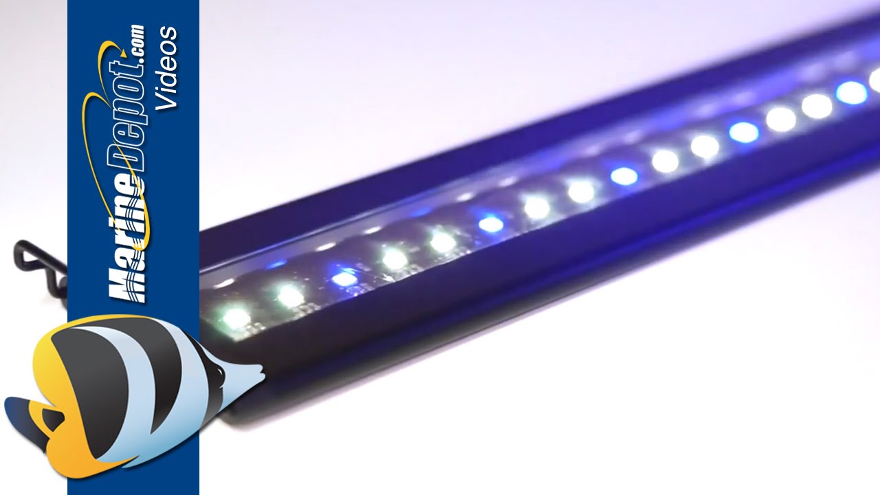 Current USA Satellite Plus Pro LED Light Fixture - Product Overview