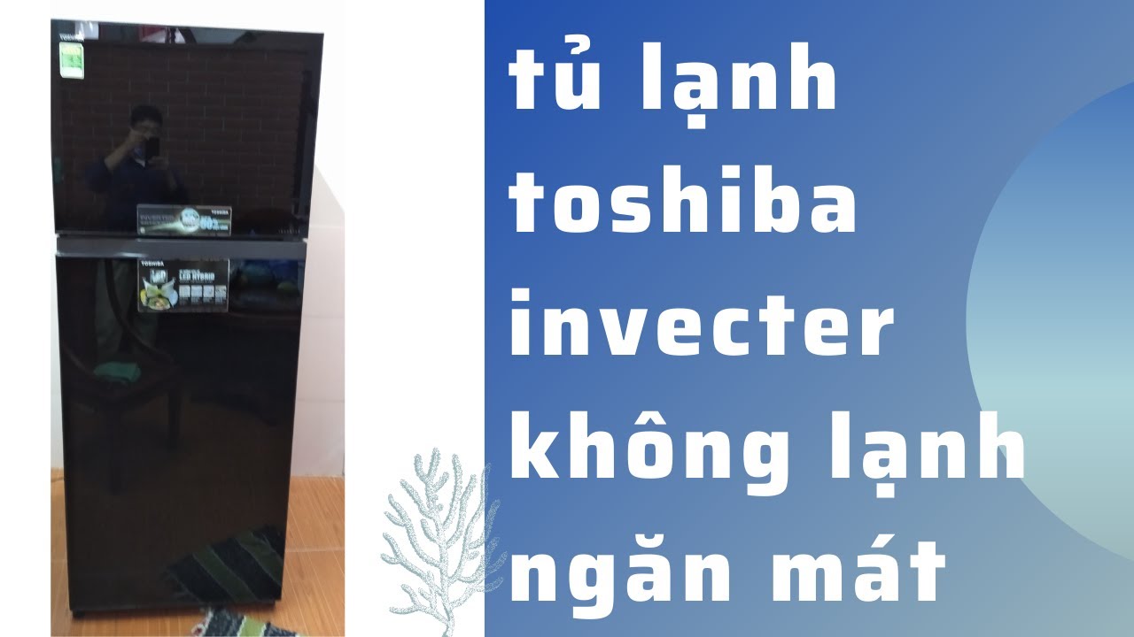 tu lạnh toshiba invecter không lạnh ngăn mát