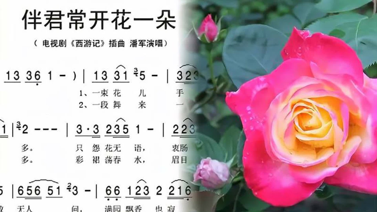词谱对照视唱。《伴君常开花一朵》