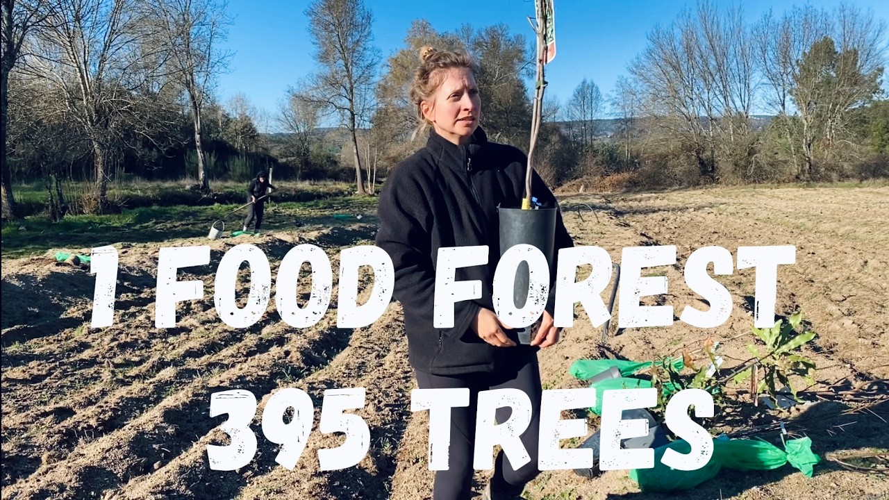 Planting 395 Trees for a Food Forest - Regenerative and Self-Sufficient Farming