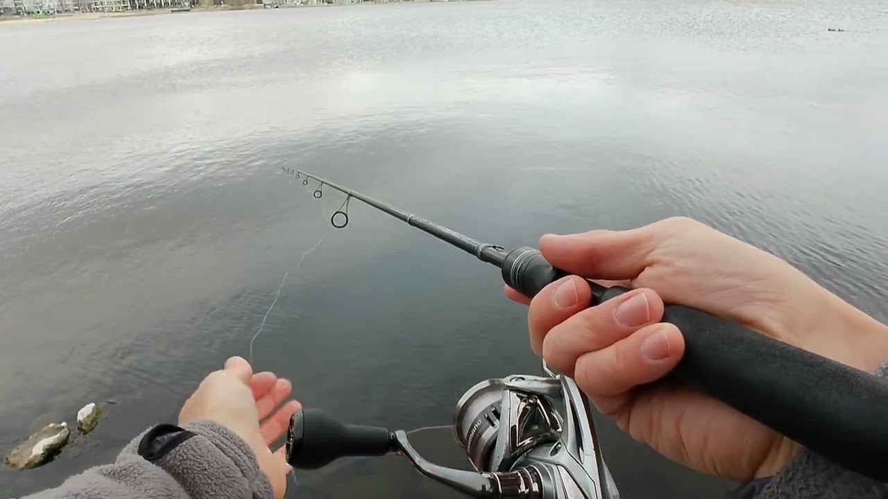 Sparks Marina N.V. fishing for trout. #troutfishing #trout #fishing