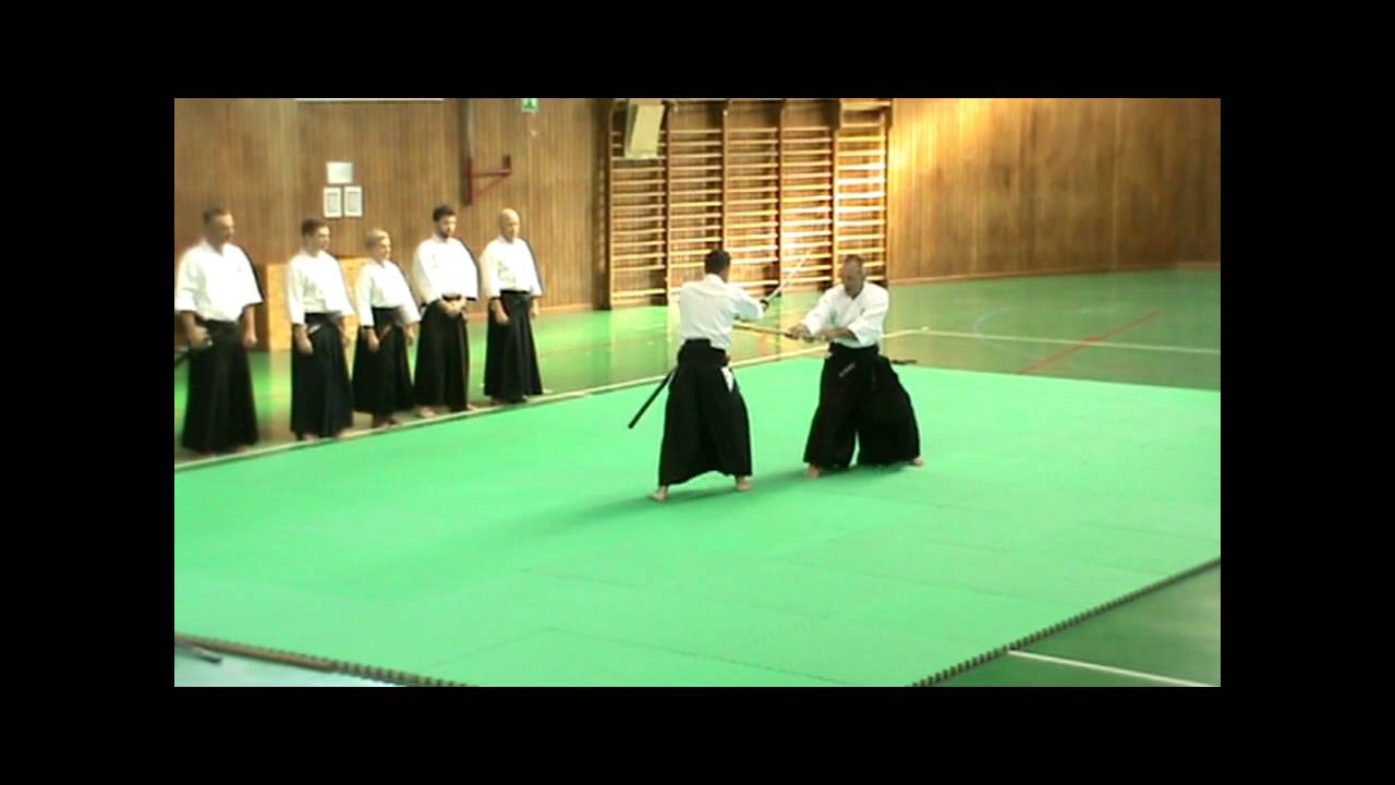 Kōryūkai 2016 Kobudō Enbu Taikai - Hontai Yoshin Ryū