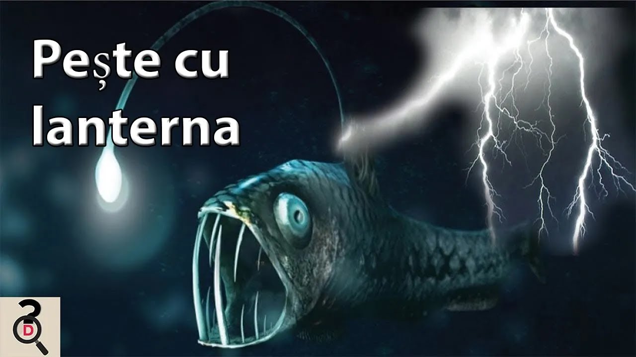 Top 5 Animale Uimitoare cu Superputeri