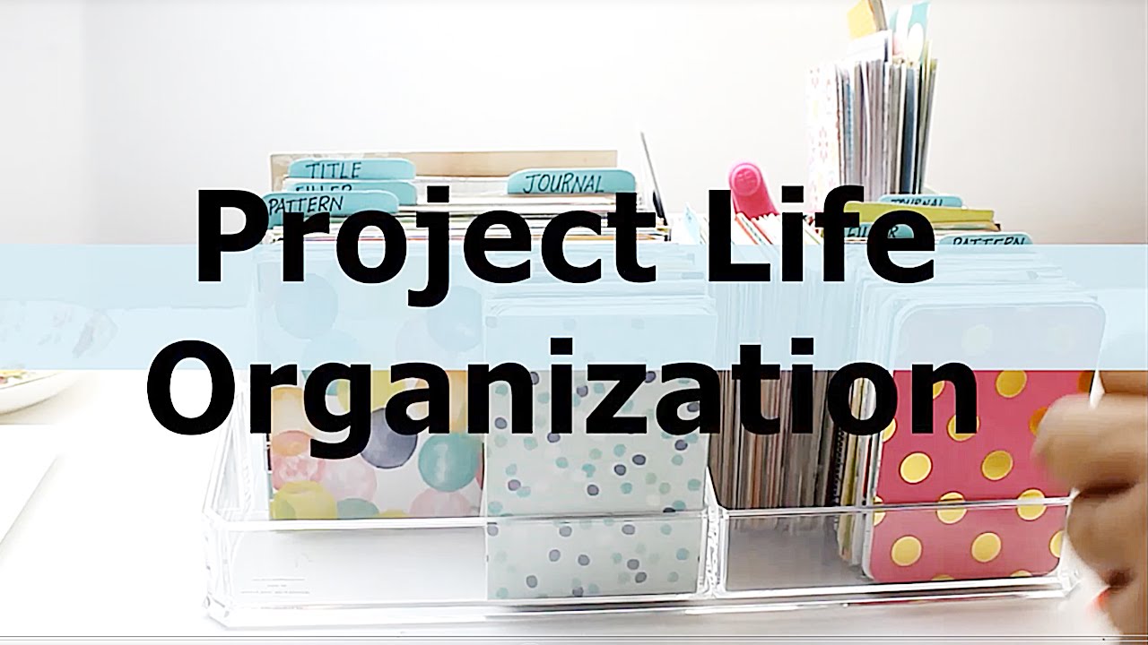 Project Life Organization