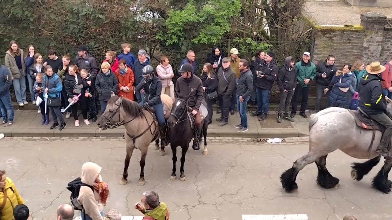 paardenprocessie HAKENDOVER 2024 (deel2 de paarden)