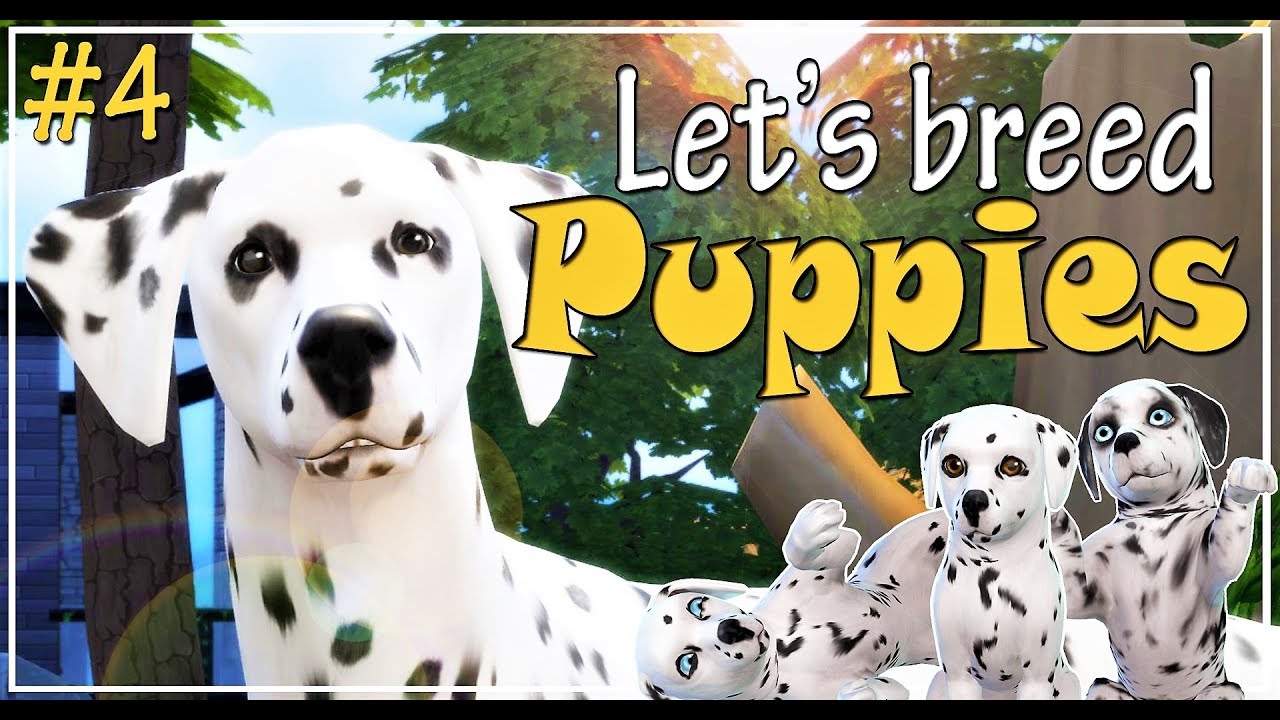 🐶 The Sims 4 Cats and Dogs | Let's play and breed Dalmatiens puppies | More puppies! | Ep. 4