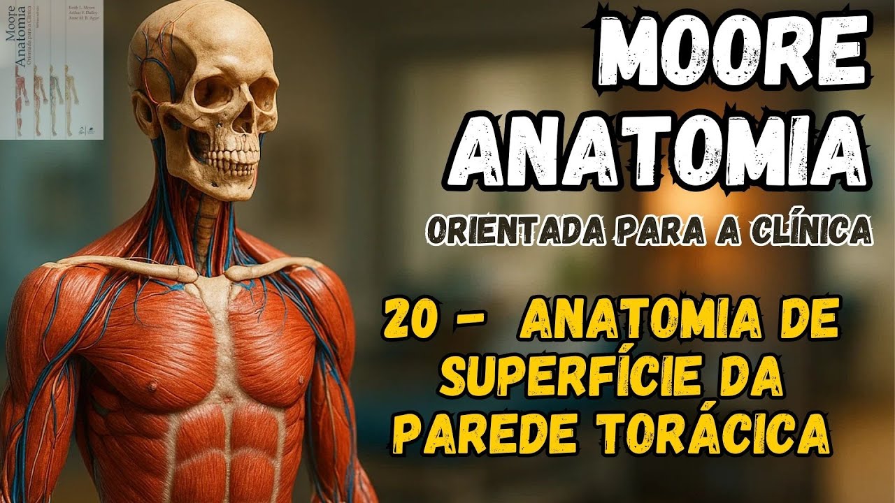 MOORE  - Anatomia Orientada para a Clínica  -  20  -  Anatomia de superfície da parede torácica