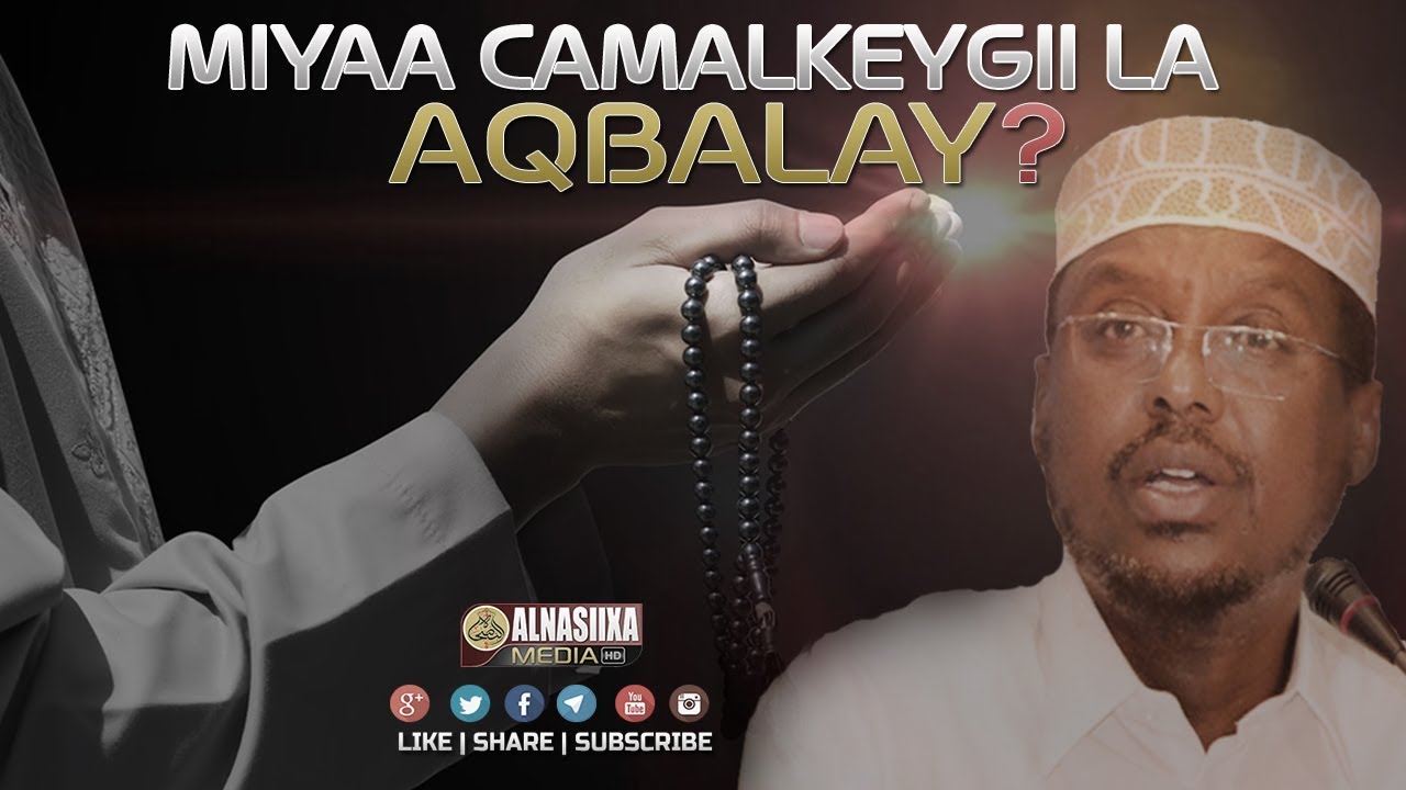 MIYAA CAMALKEYGII LA AQBALAY ? ᴴᴰ┇ Sh. Mustafe Xaaji Ismaaciil