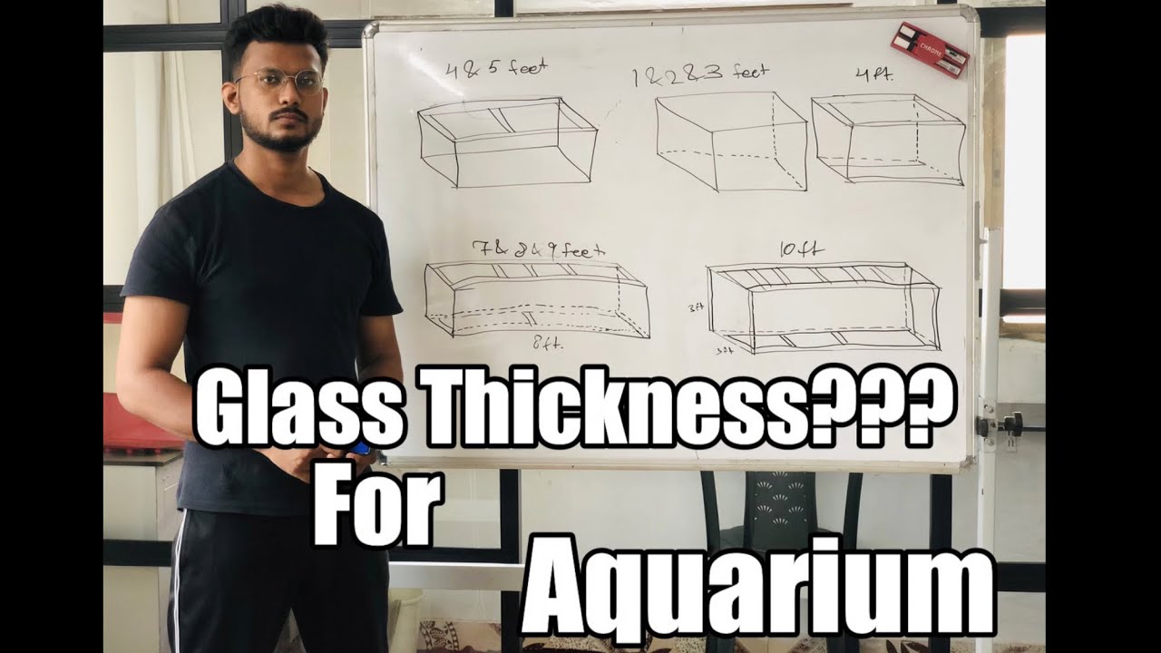 Best Glass Thickness to Build all size of Aquarium/ Explained in details.