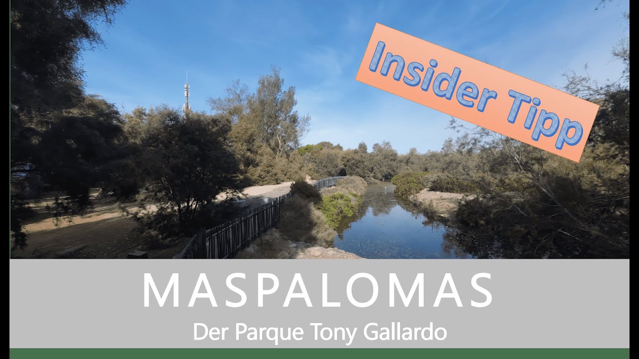 GRAN CANARIA / MASPALOMAS Der wunderschöne Parque Tony Gallardo.
