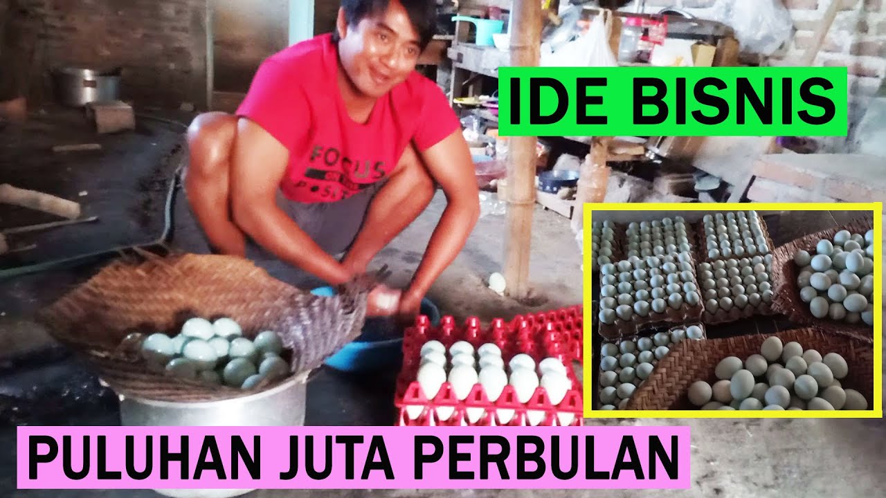 IDE BISNIS RUMAHAN USAHA TELUR ASIN - MODAL KECIL UNTUNG BESAR