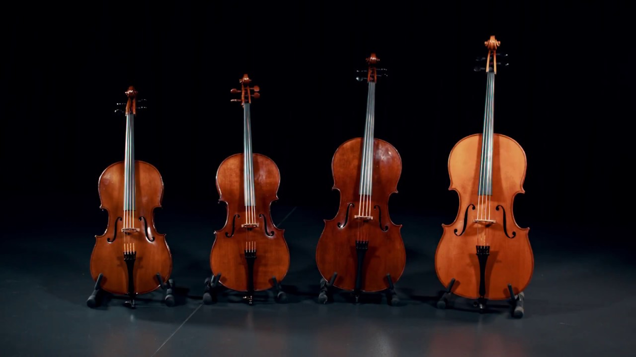 Das Cello (Violoncello)