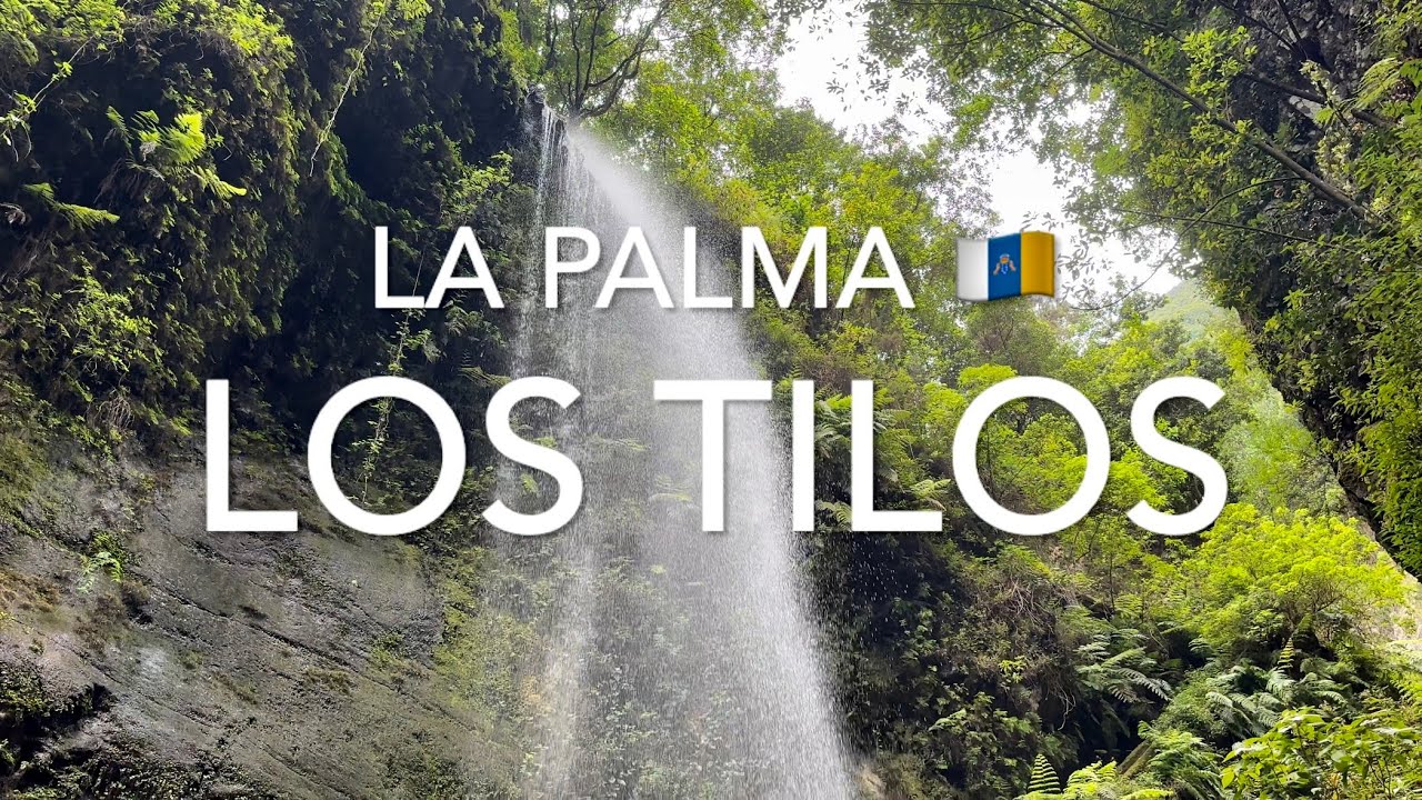 Cascada De Los Tilos, La Palma (4K)