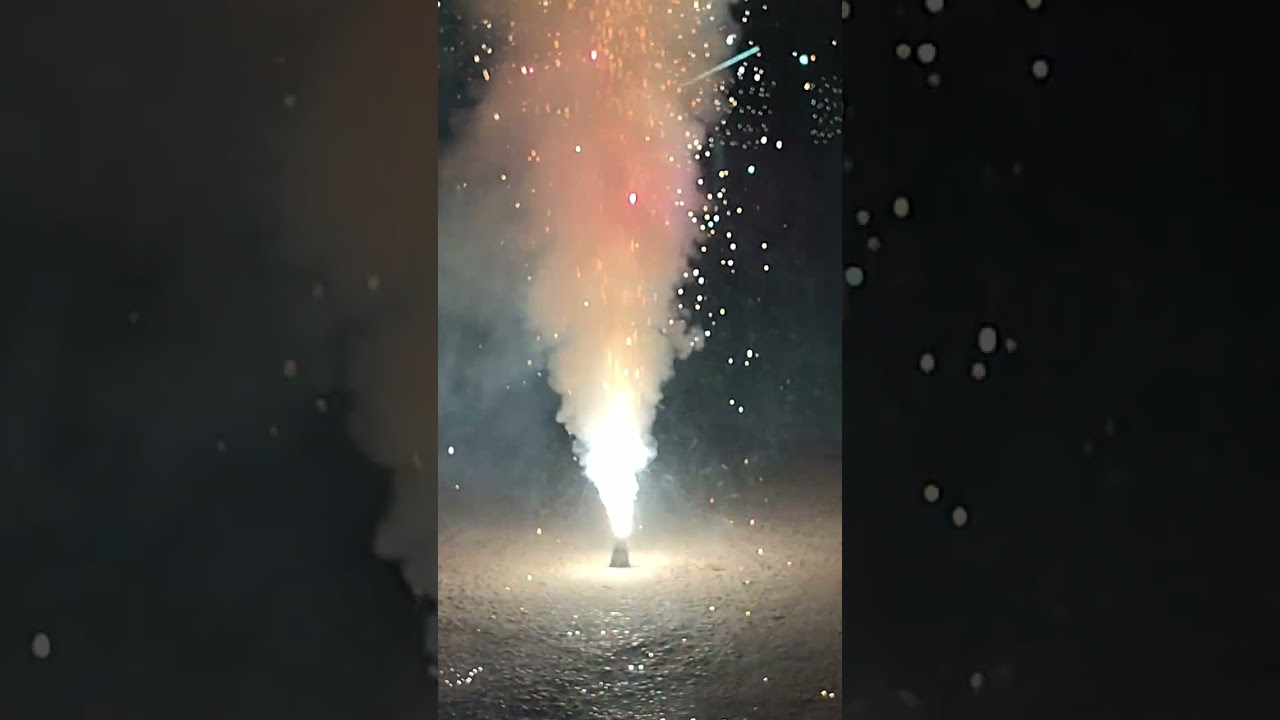 बाराती की स्वागत समारोह 