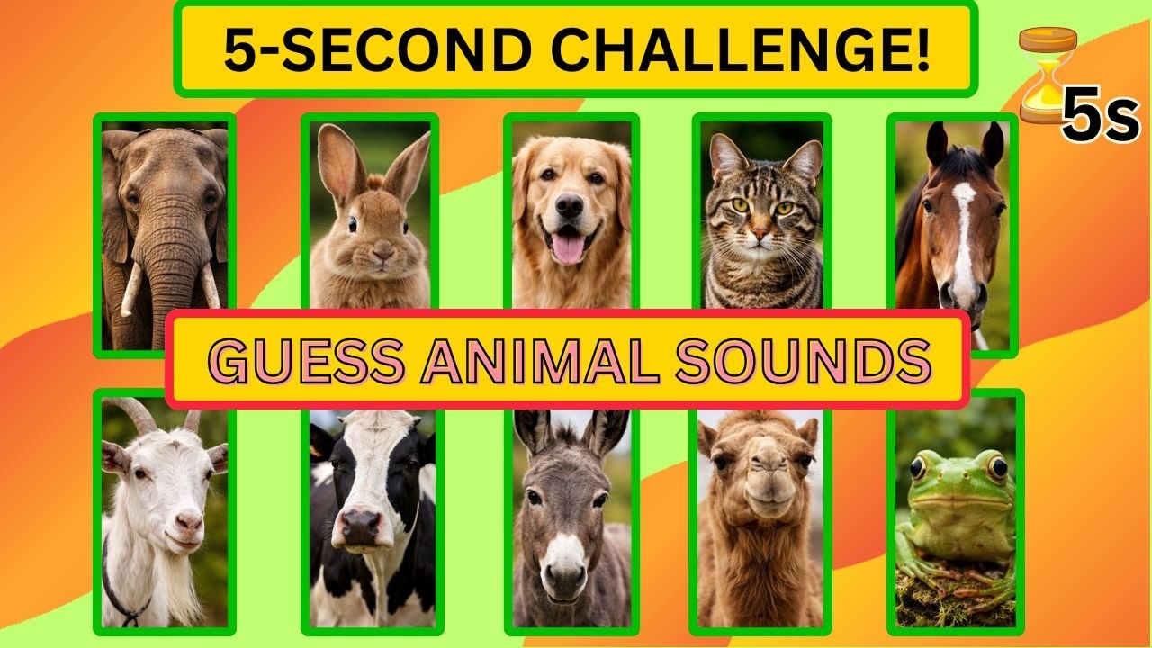 Guess the Animal by Sound | Animal Sounds Quiz for Kids