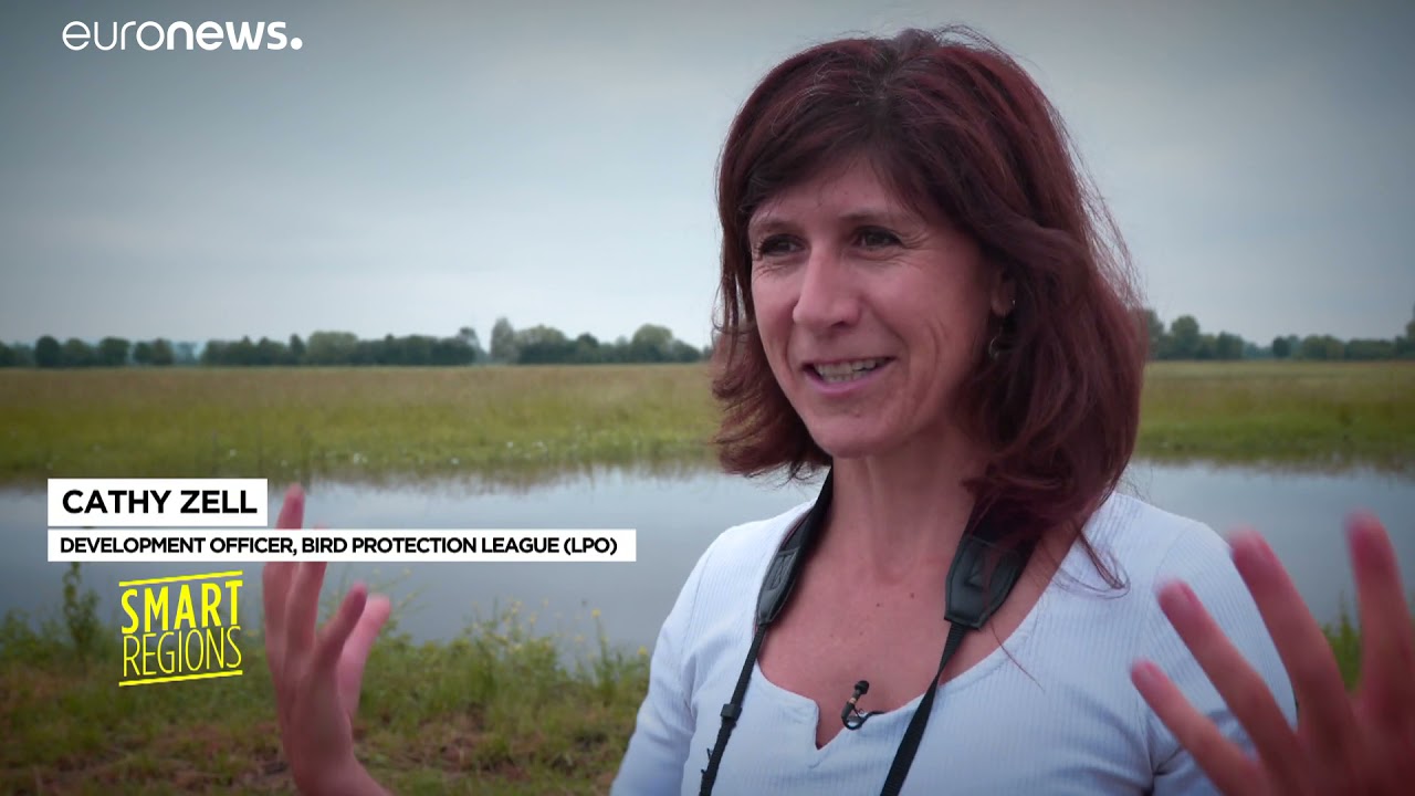 Ramsar Biodiversity project: Helping to preserve biodiversity in the Rhine region