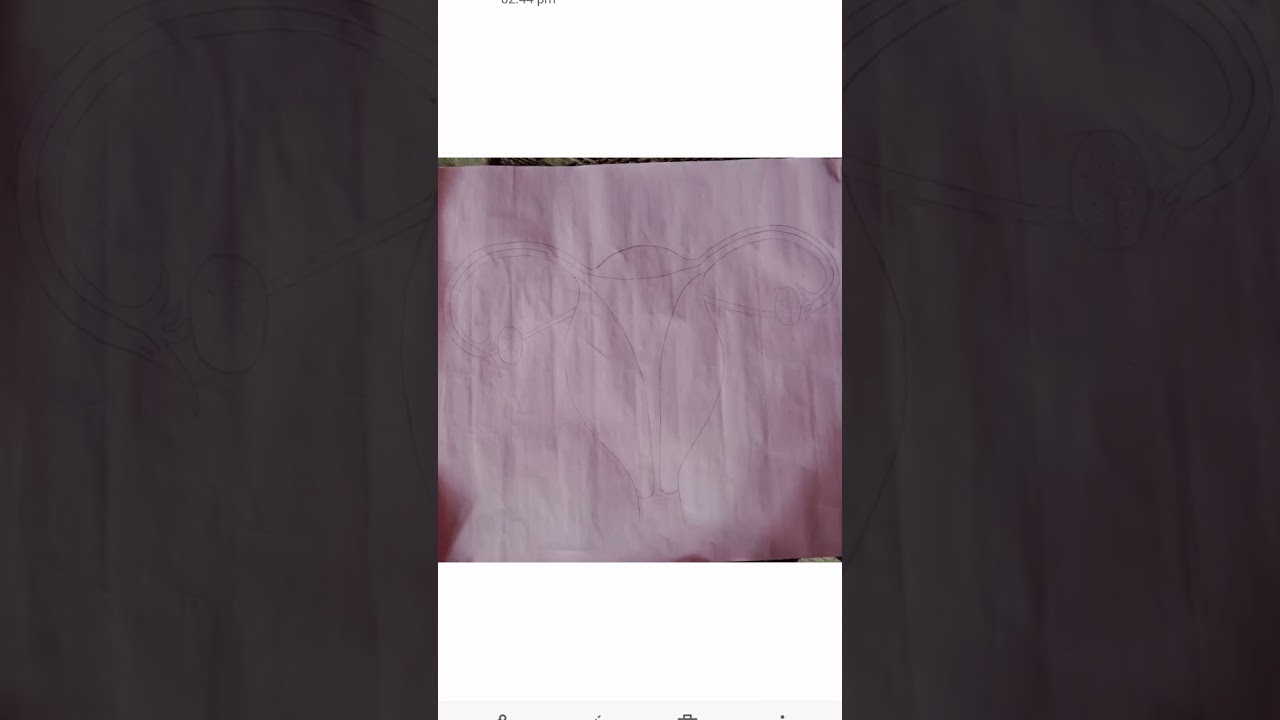 mada jann तन्त्र 