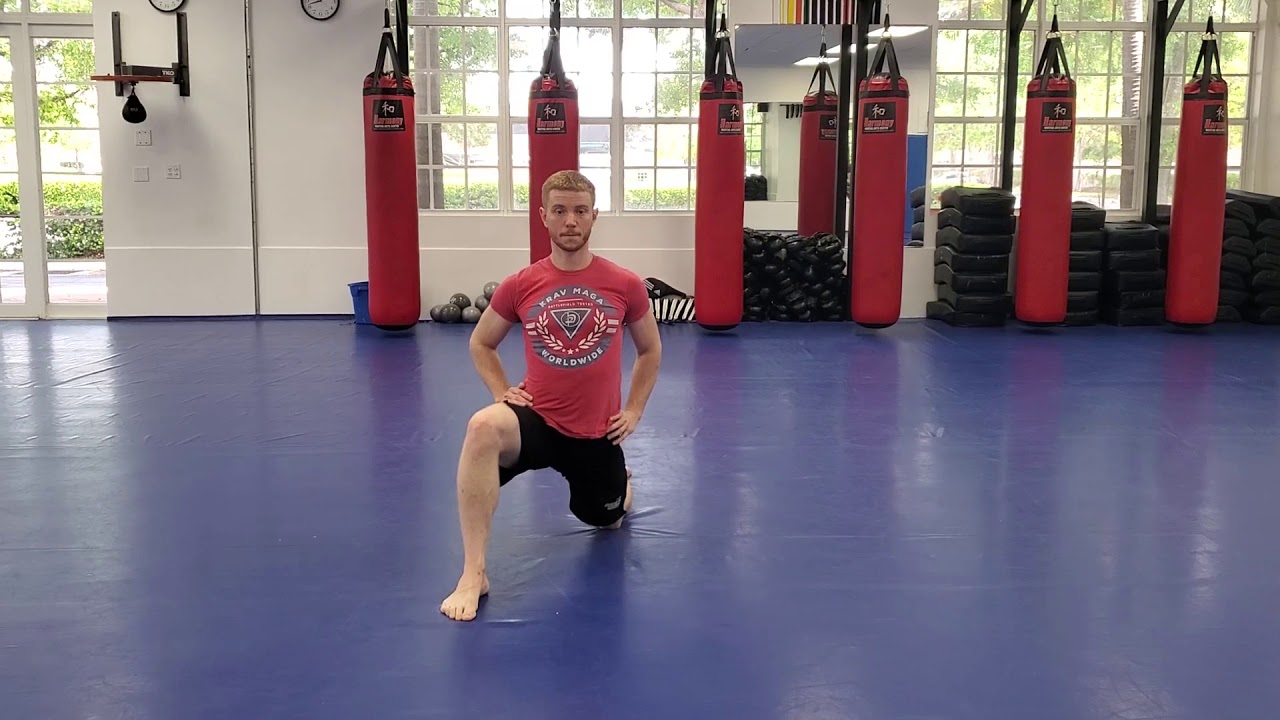 Online Course: Adult Krav Maga #2
