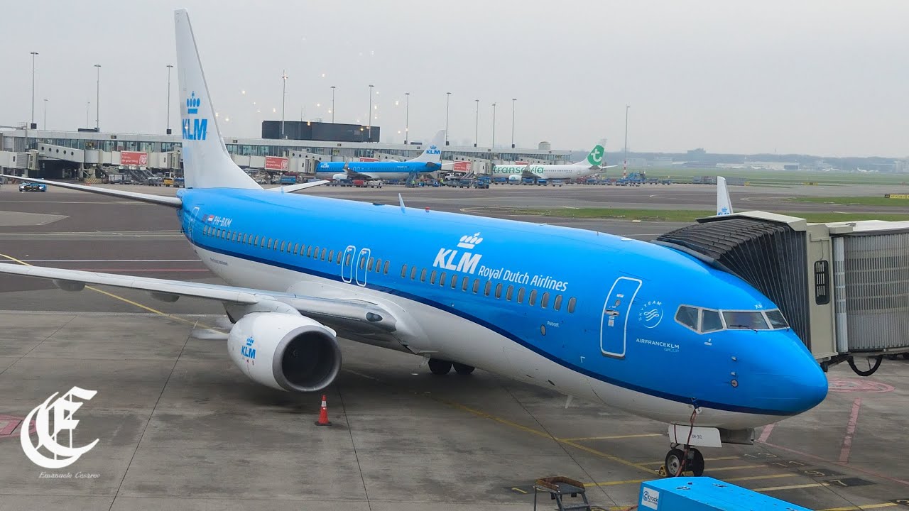 TRIP REPORT | KLM  B737-800 | Rome Fiumicino - Amsterdam Schipol | Discovering Dutch flag airline
