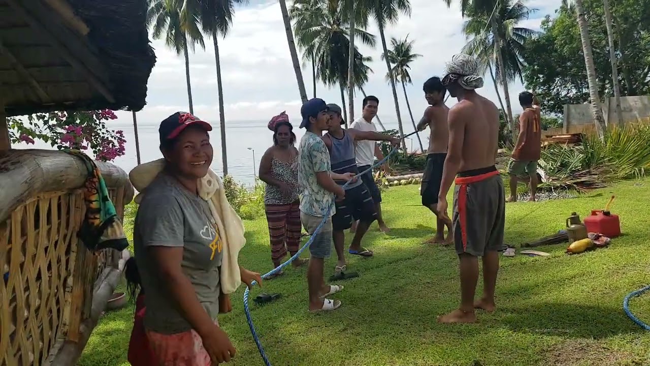 CUTTING THE COCONUT TREES. #chainsaw