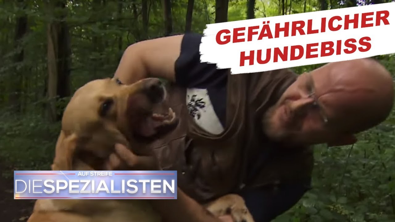 Hundebiss: Überträgt das Tier Tollwut? | Auf Streife - Die Spezialisten | SAT1. TV