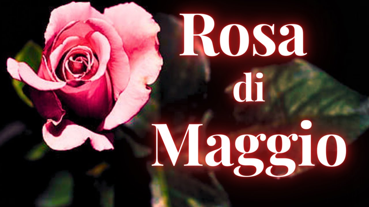 Rosa di Maggio ft. @Rosannalia