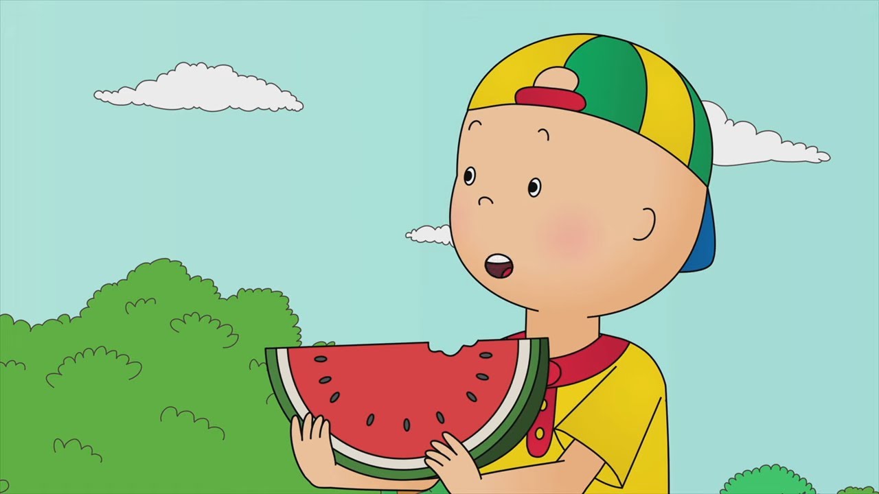Caillou au pique-nique | Dessins animés pour enfants | Caillou en Français
