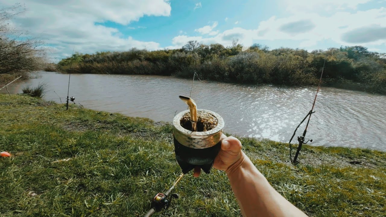 🔥🎣PESCA Y EXPLORACION EN EL RIO GUALEGUAYCHÚ. BAGRES, TARARIRA Y ANGUILA. pescando y conociendo