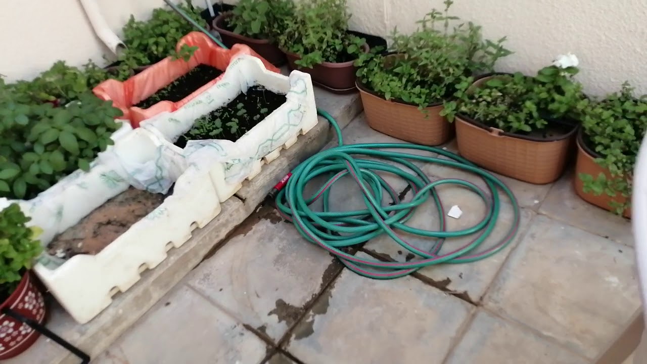 محمية زراعية داخل البيت اسهل واسرع طريقة بأقل التكاليف 150SR In-house agricultural reserve