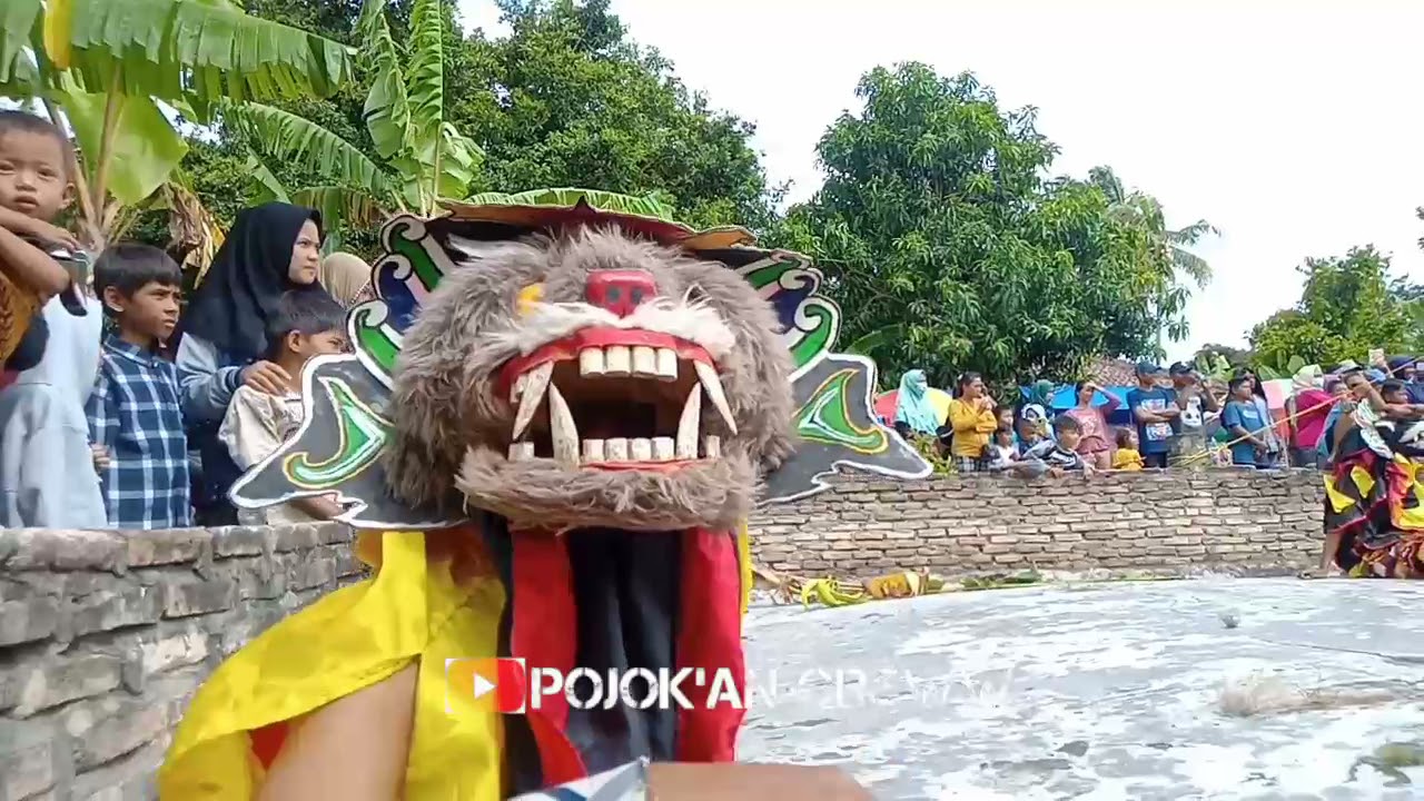 kucingan vs macan ngamukk jaranan rukun santoso live sumber wangi lampung selatan