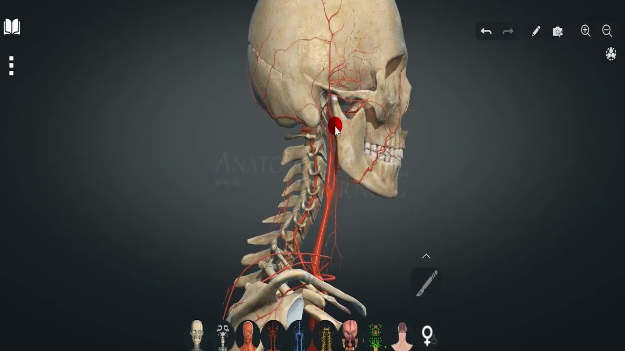 ډیجیټلي طبي لابراتوارونه