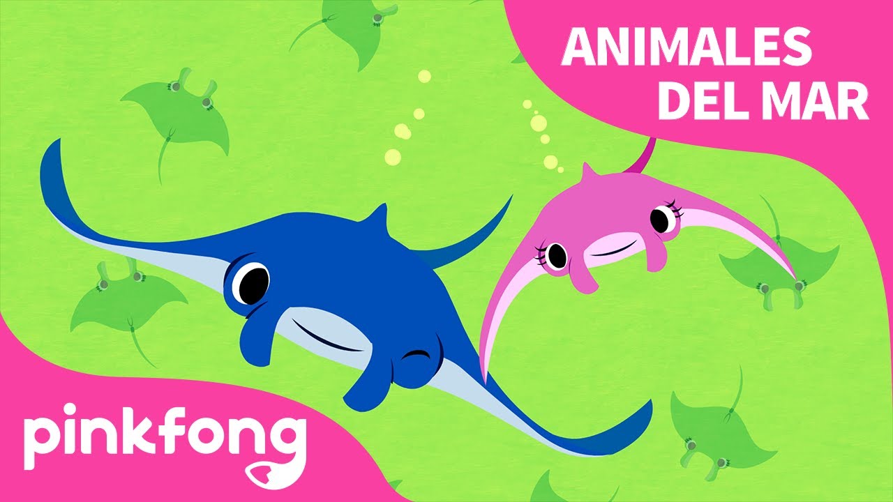Mantarraya | &iexcl;Superh&eacute;roe, mantarraya! | Animales del Mar | Pinkfong Canciones Infantiles