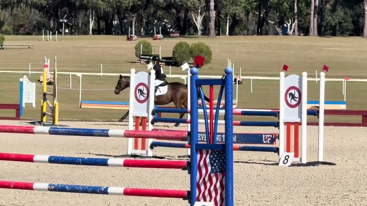 Eleanor McClain and Calla Lily Majestic Oaks Preliminary Show Jumping 