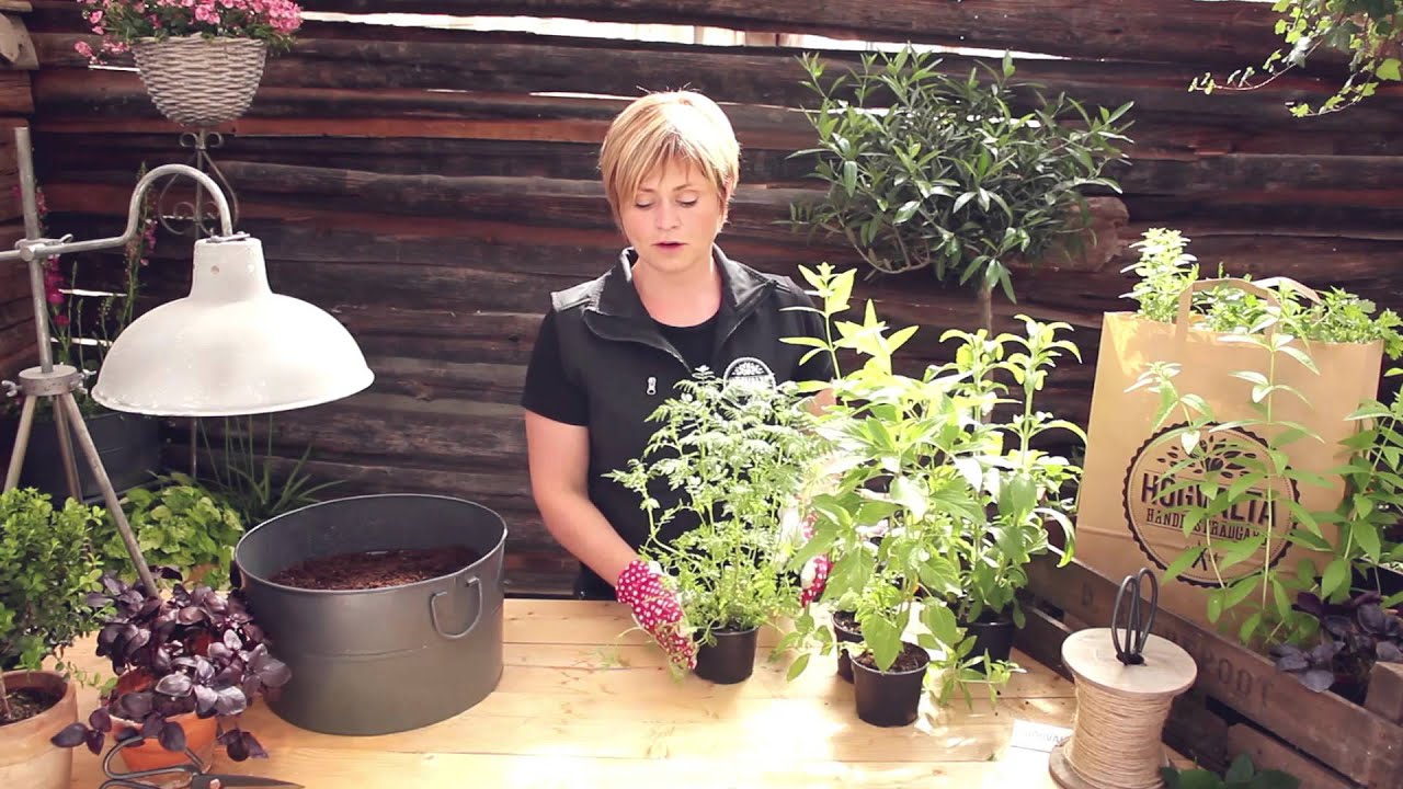 Trädgårdstips från Högvalta 