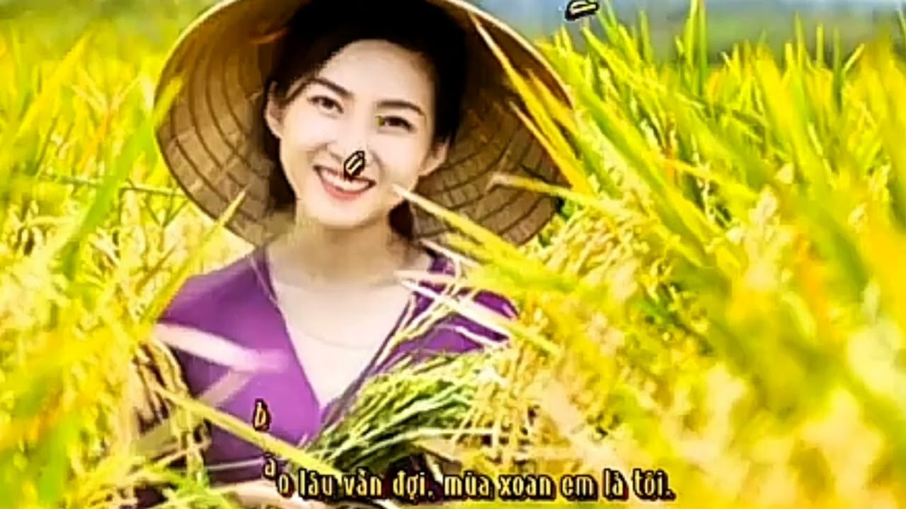 Hoa Xoan (Thơ Nguyễn Viết Lượng - Nhạc: Phùng Tiến Minh)