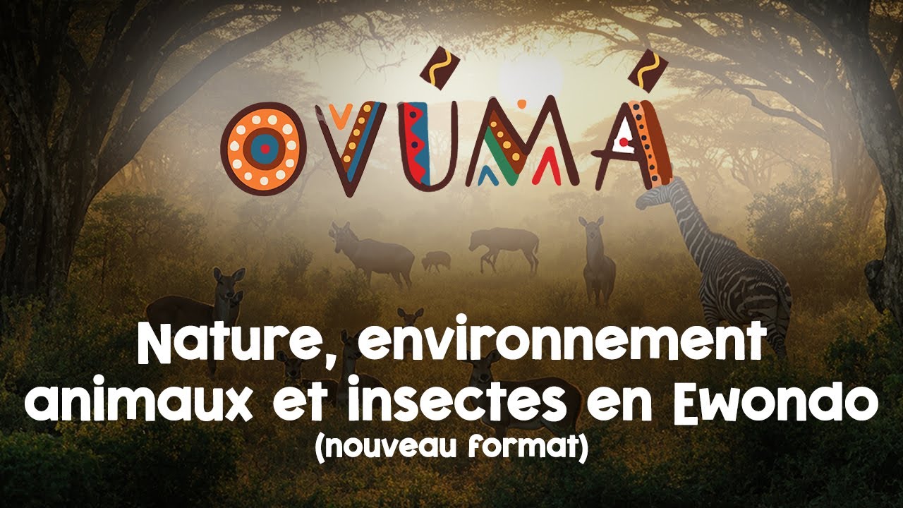 Evironnement, nature et animaux en ewondo