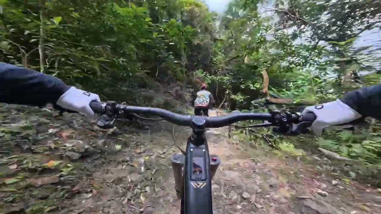 Velduro 甲龍跟紀神