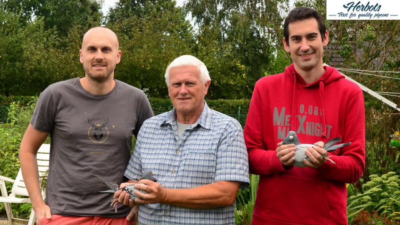 Rans Stijn & Jeroen: 1st National Perpignan 4,552 old birds